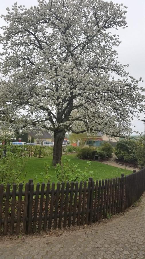 Ferienwohnung Vergissmeinnicht Osburg Dış mekan fotoğraf